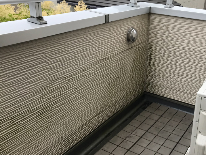 藻やカビの発生